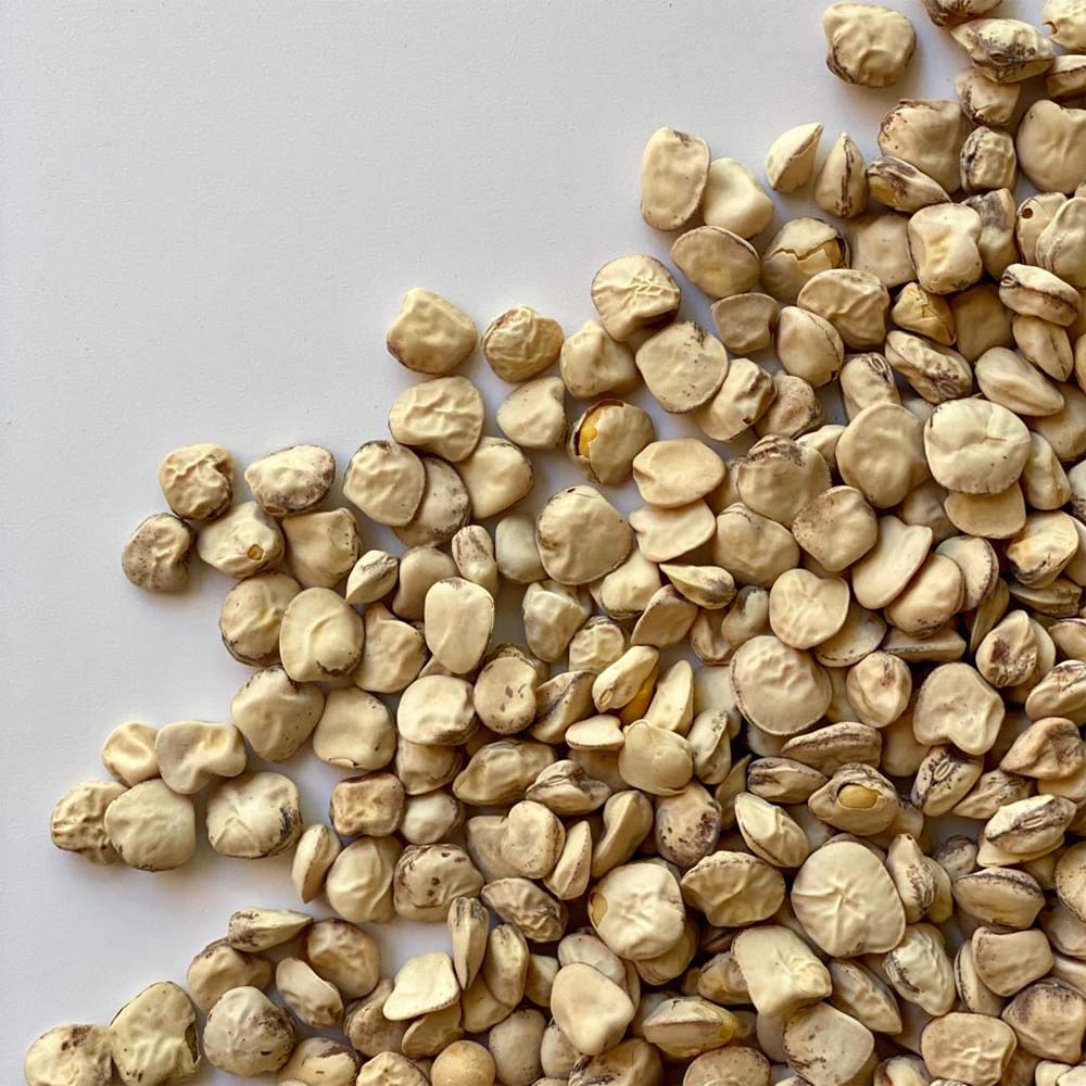 CICERCHIA ITALIA | Il Contadino | Legumi Secchi (20 Kg)