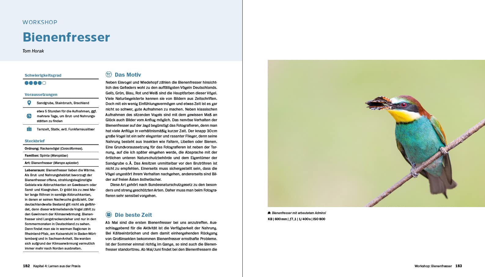 Vogelfotografie: Die große Fotoschule. Ihr praktischer Einstieg: Ausrüstung, Aufnahmetechnik, Bildgestaltung. Mit artenspezifischen Informationen