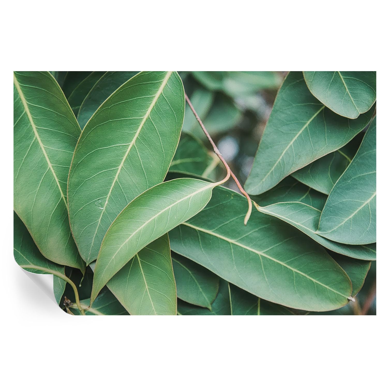 Cubiertas decorativas con hojas verdes 104x70 cm fáciles