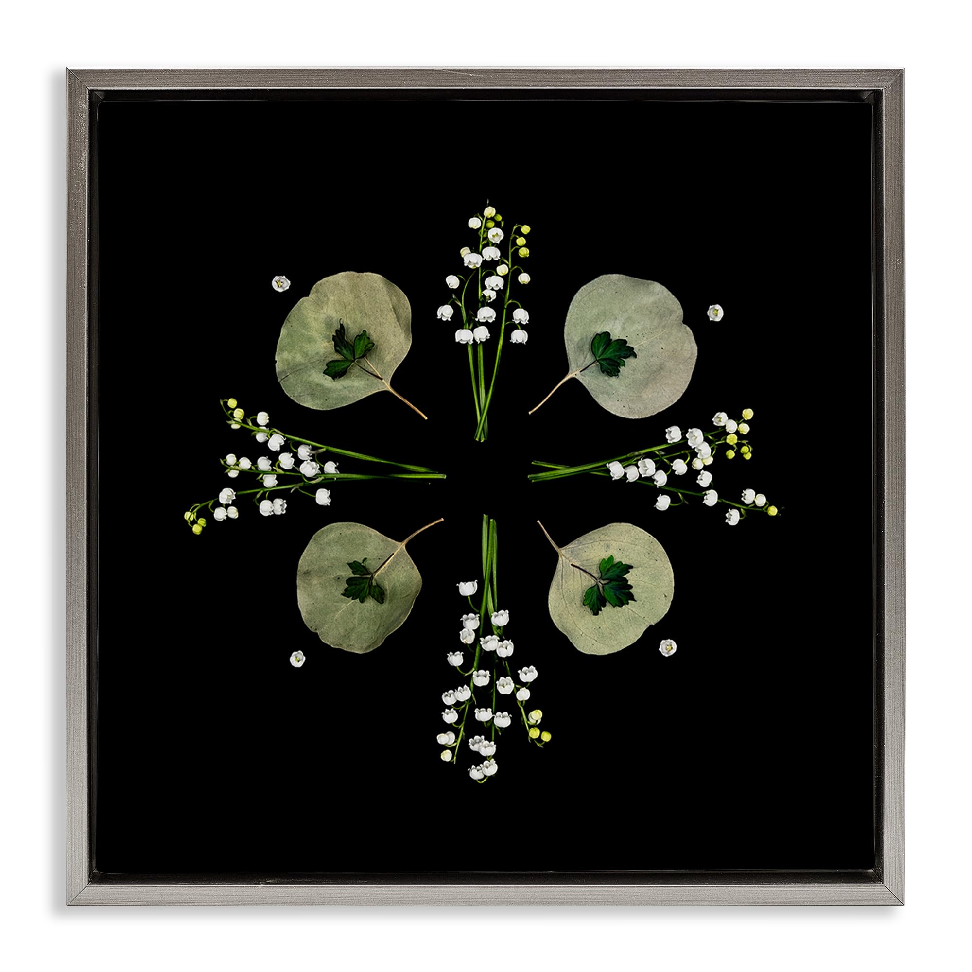 Stupell Industries Luster Gray (Matte) 'Leaves & Wildflowers On Black'| Floating Frame Canvas Art