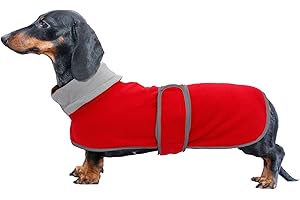 Cozy Hound Coat: Ultimate Warmth for Your Basset Hound