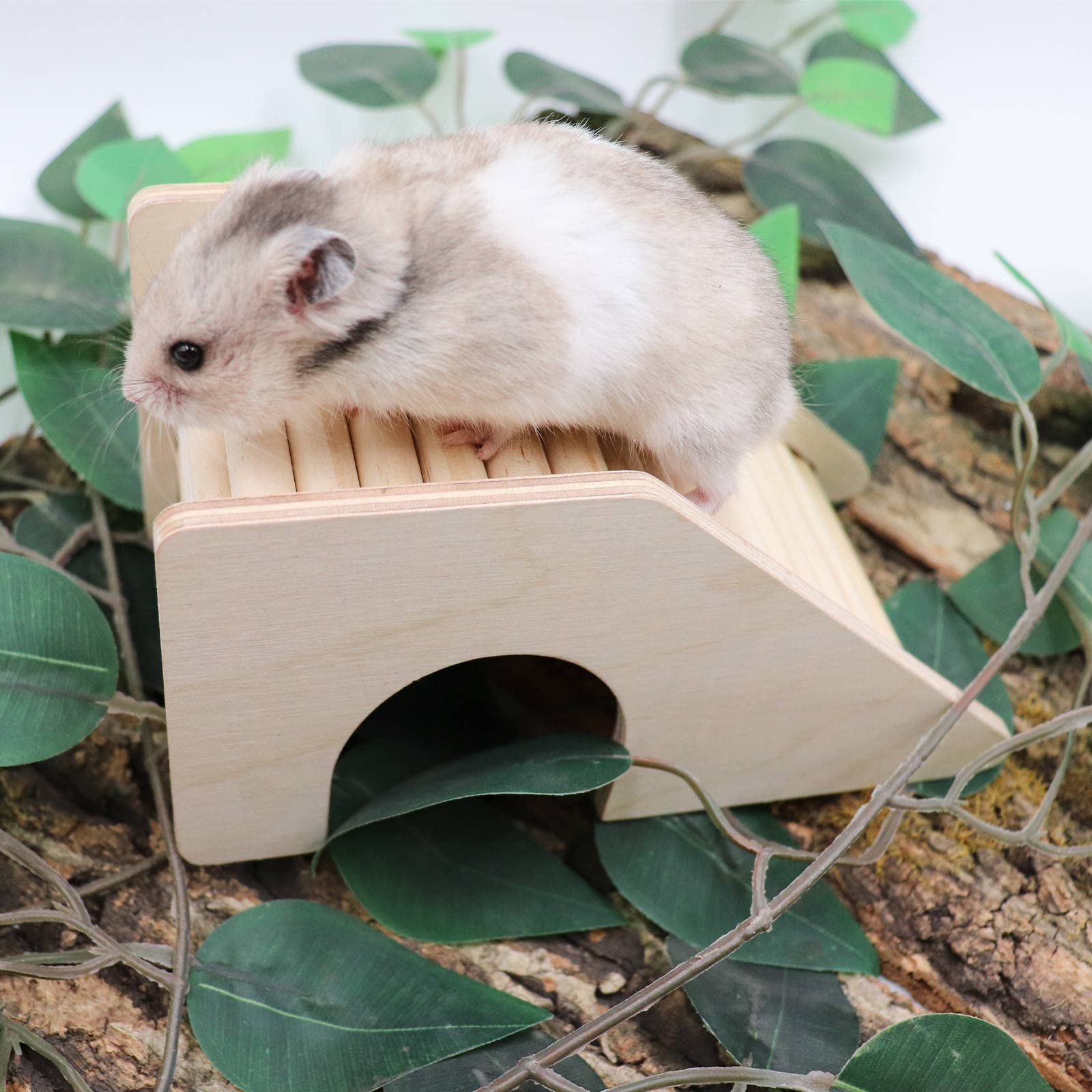 Oooct Hermit Crab Hideout With Ramp - Wooden Climbing Toy Ladder For Aquarium Small Pets