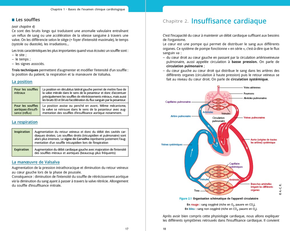 Objectif EDN : Sémiologie et orientation clinique pour les stages et les ECOS: Les symptômes les plus courants en neurologie, cardiologie, hépato-gastrentérologie et pneumologie
