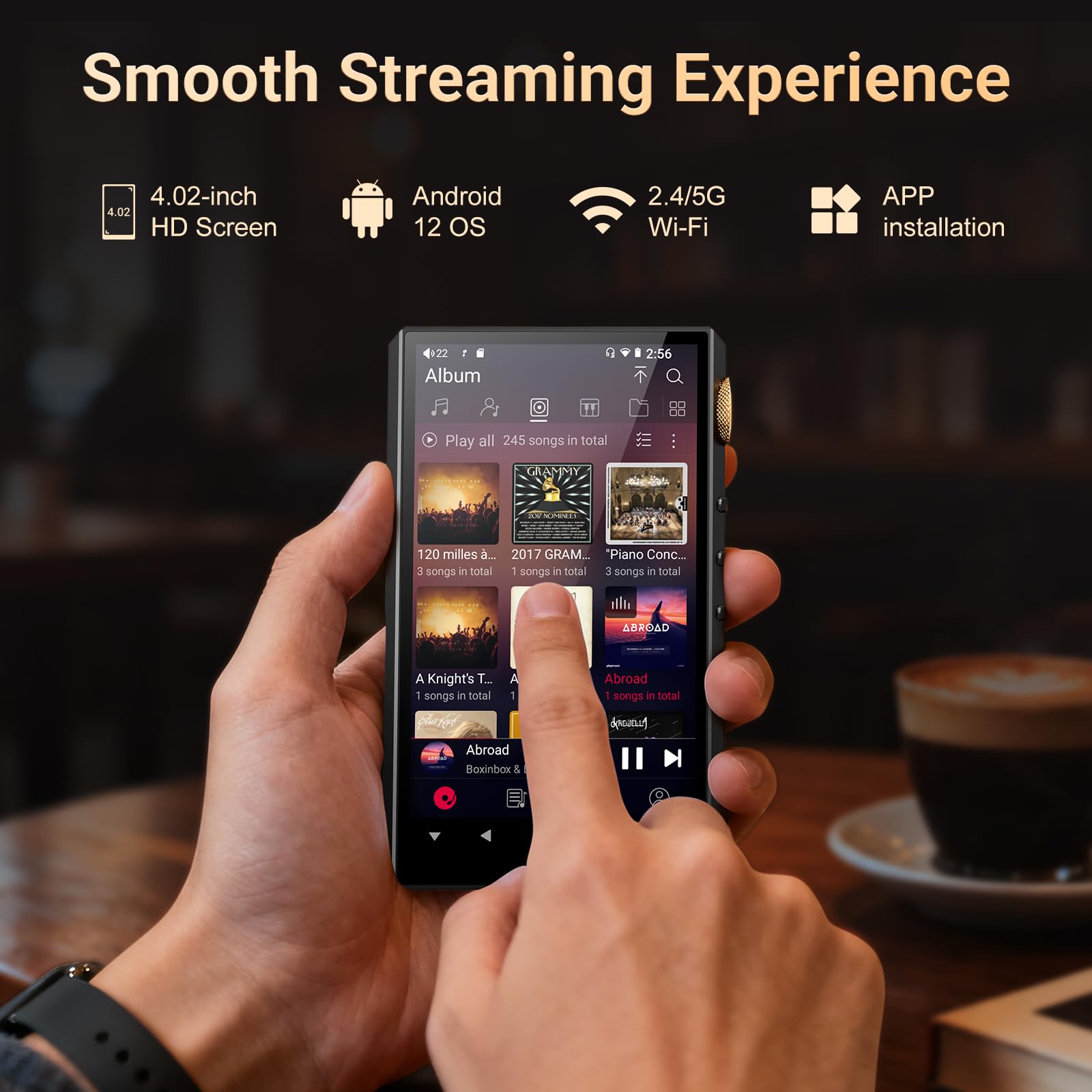 160GB Hi-Res Audio Player, Oilsky HiFi MP3 Player Bluetooth und WiFi, 4,02" Digitaler DSD512 Verlustfreier Musik Spotify Player, 4,4mm Balanced, Dual ESS DAC, 4GB RAM (Schwarz)