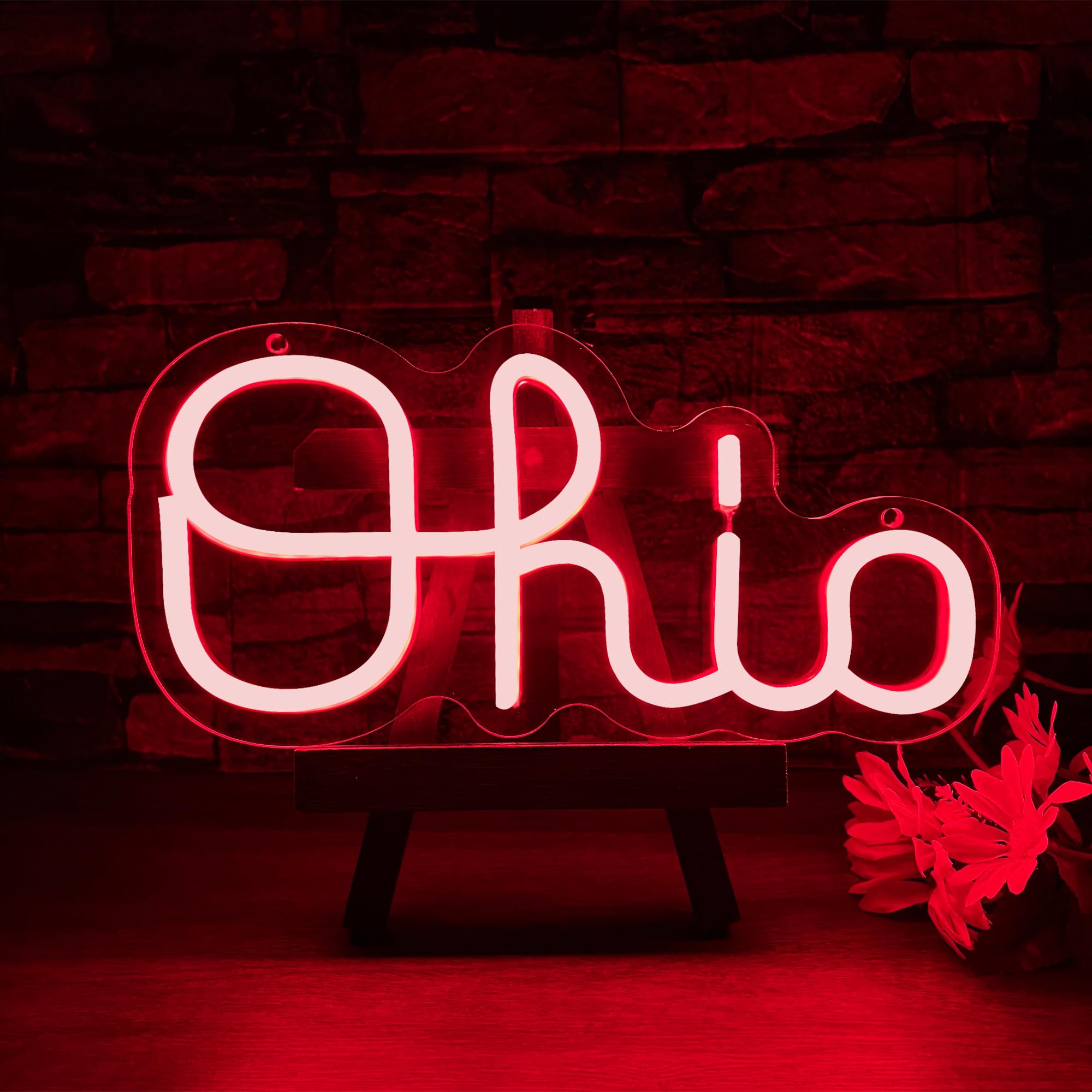 Mutank Ohio Neon Signs for Wall Decor, USB Powered Dimmable Ohio State LED Neon Light, for Home Room Decor Sports Fans Team Wall Decor Club Store