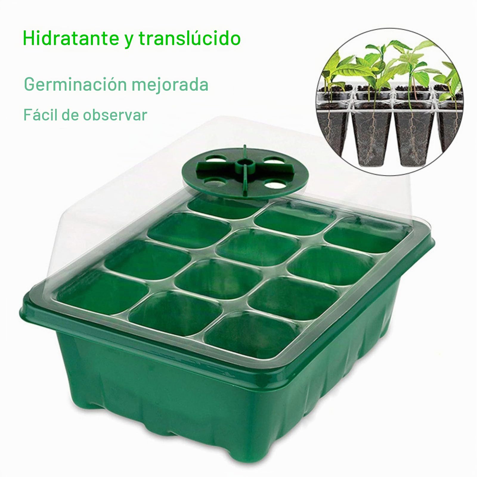 Bandejas Semilleros con Lámpara Germinacion Plántulas,6 Pcs Mini Invernadero Pequeño con Temporizadores de Tiempo y Brillo Ajustable Luz para el Crecimiento y Desarrollo de Las plántulas