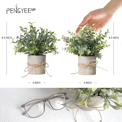 Miniatura 5 de Juego de 7 plantas falsas pequeñas para interiores, mini plantas artificiales de plástico, romero, eucalipto, plantas para el hogar, cocina, sala de