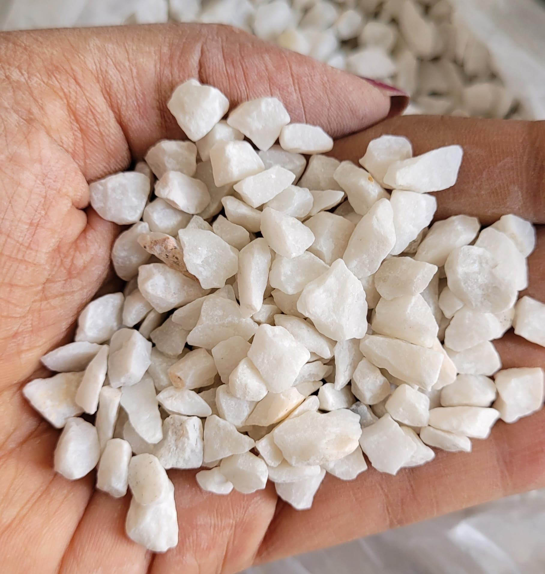 See full amazon price history chart for RM Stone Chipping White Marble Chips (1 Kg Pack) Soil Covers Stone Chips, Garden gravels RM Stone Chipping White Marble Chips (1 Kg Pack) Soil Covers Stone Chips, Garden gravels (B072M6MTRN) Amazon Price History, Amazon Price Tracker