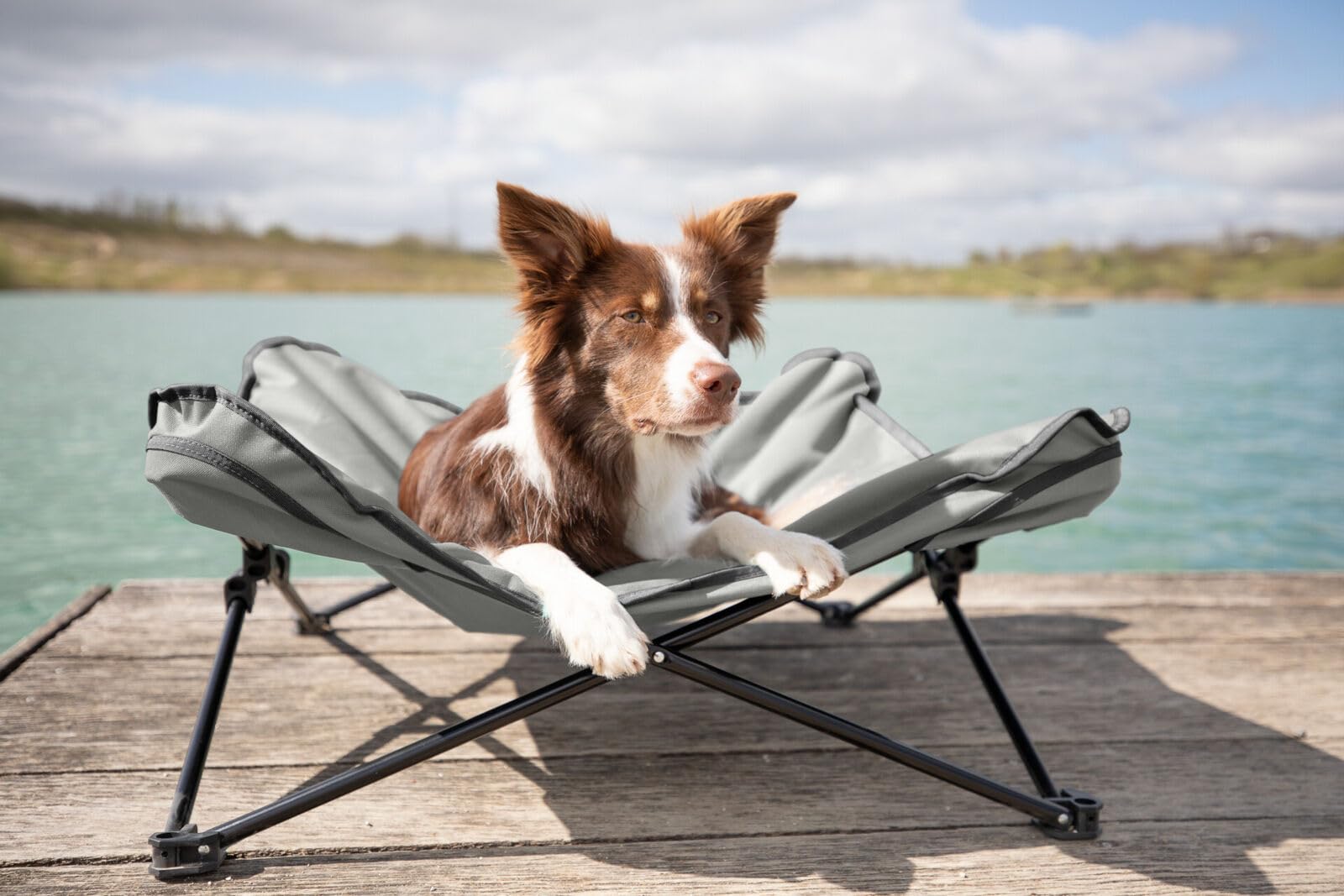 TRIXIE Camping-Bett fr Hunde - Oxford-Polyester & stabiles Metallgestell -  Bezug abnehmbar - zusammenklappbar & mit Transporttasche - 69 x 20 x 69 -  bis 15 kg - grau/schwarz - 28215 : Amazon.de: Haustier