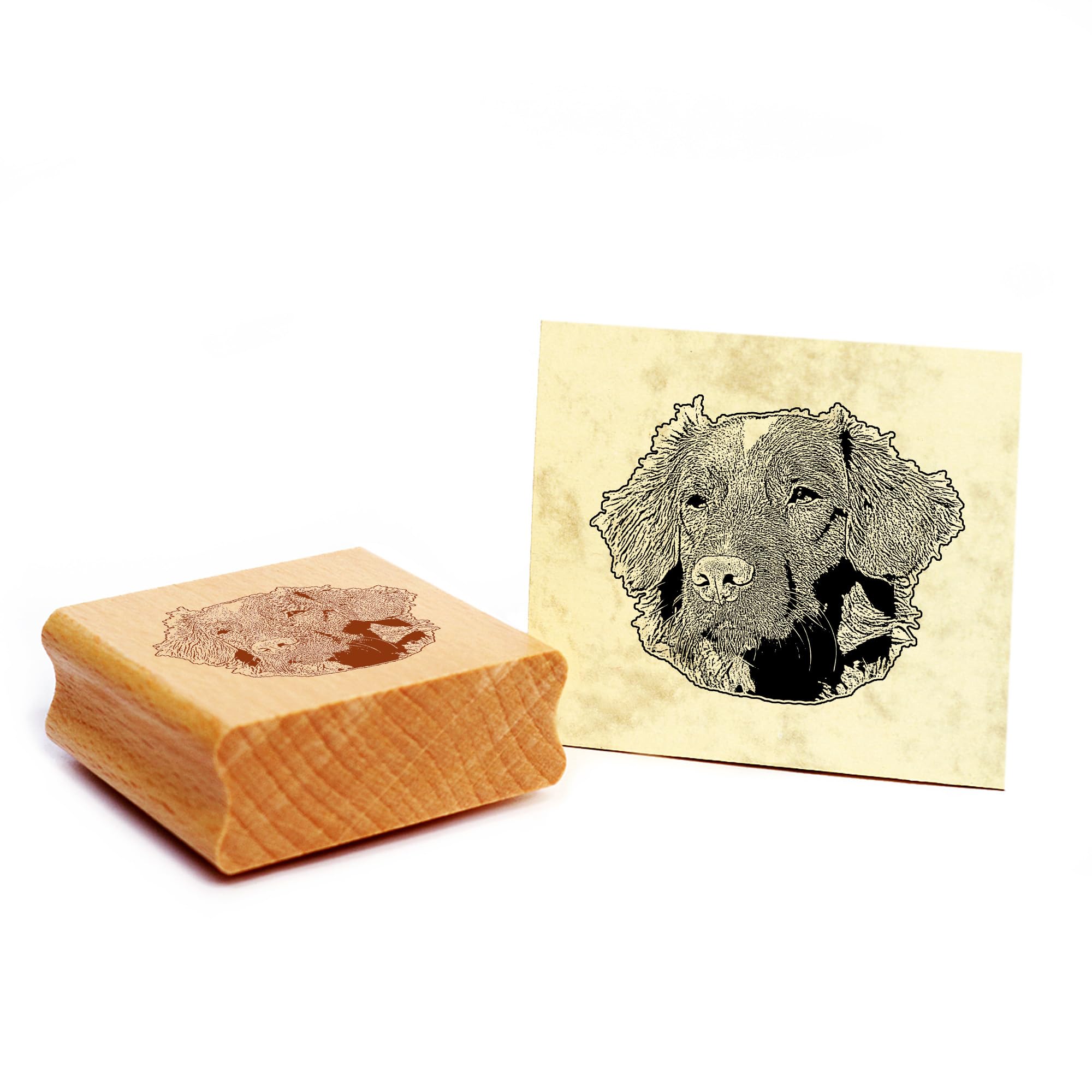 Dekolando Motif Stamp Nova Scotia Duck Tolling Retriever Dog Wooden Stamp 48 x 39 mm — image 1
