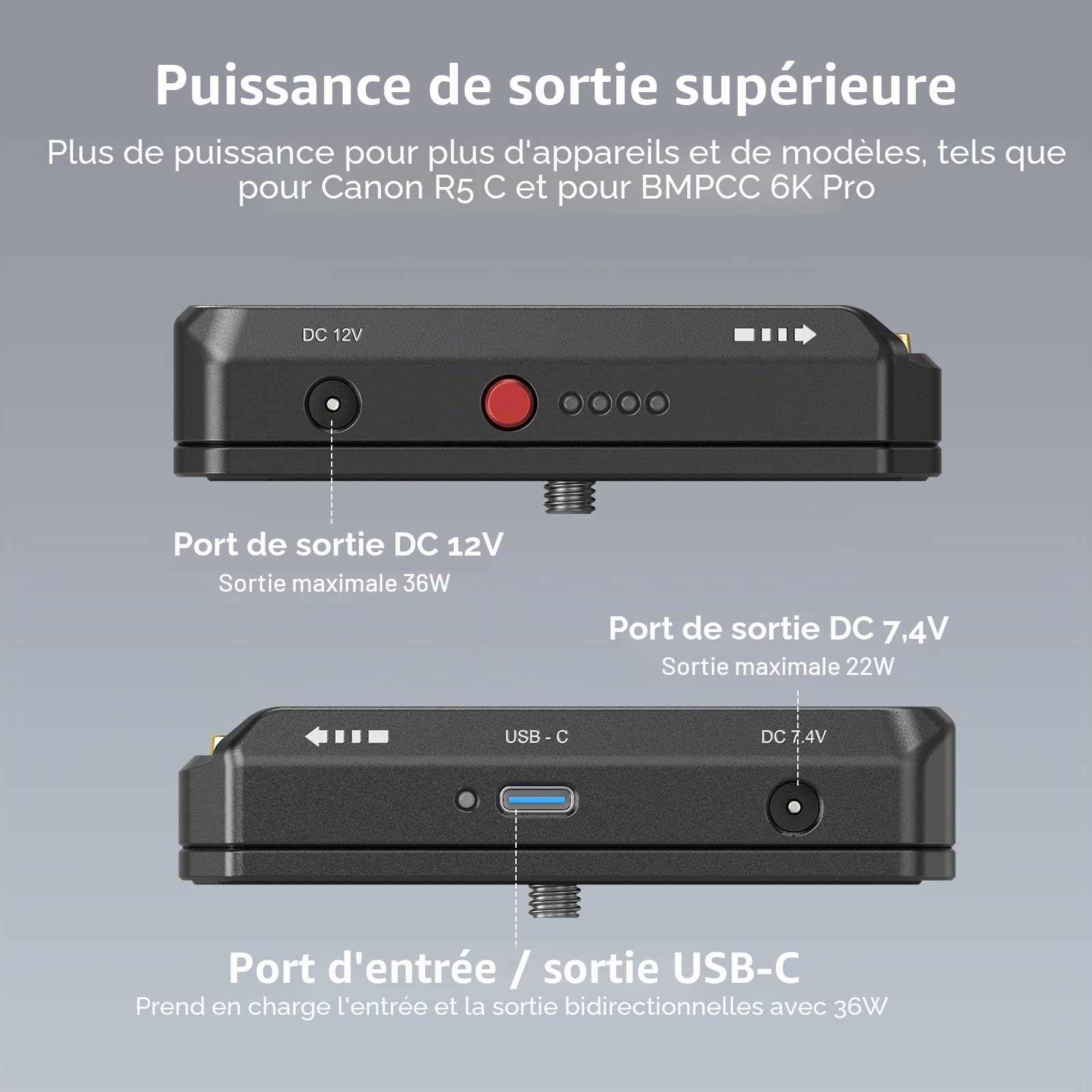 SMALLRIG Plaque de Montage d'Adaptateur de Batterie NP-F pour NP-F970/NP-F550/NP-F770, NP-F Plaque d'Adaptateur de Batterie pour Sony, pour BMPCC 4K/6K/6K Pro et pour Canon R5 C (Avancée) - 3168B