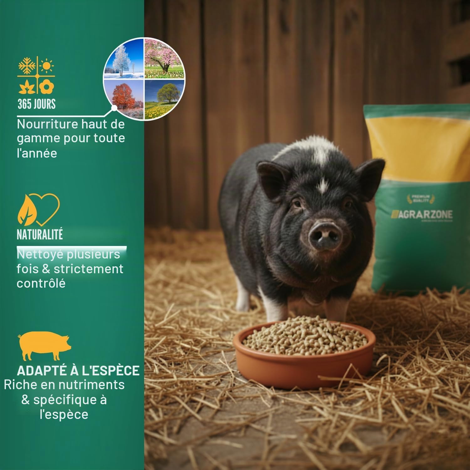 Agrarzone Nourriture pour Mini-cochons en granulés 20 kg - Nourriture pour Mini-cochons, cochons Nains et cochons Teacup - 100% sans OGM et nettoyée Plusieurs Fois