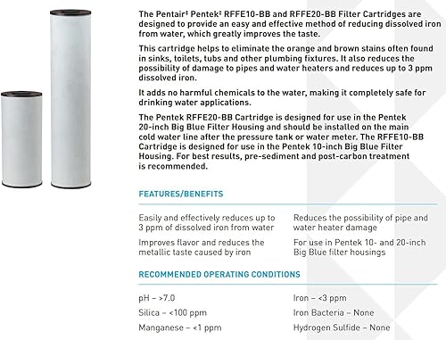 Miniatura 3 de Pentair Pentek RFFE20-BB - Filtro de agua azul grande, 20 pulgadas, cartucho de repuesto de reducción de hierro de flujo radial para toda la casa,