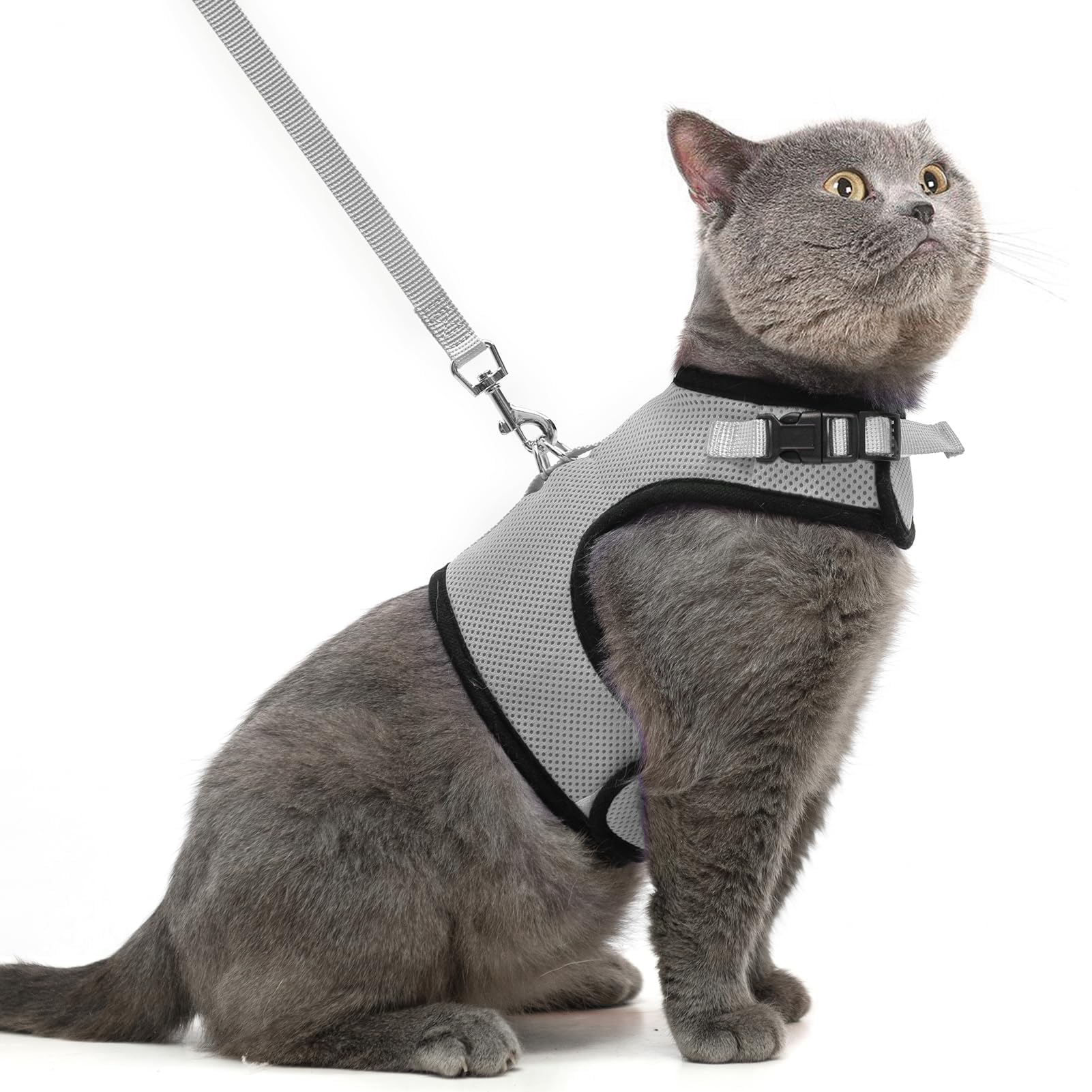 猫用 ハーネスリード セット 猫牽引ロープ リード 猫ハーネス 猫用 