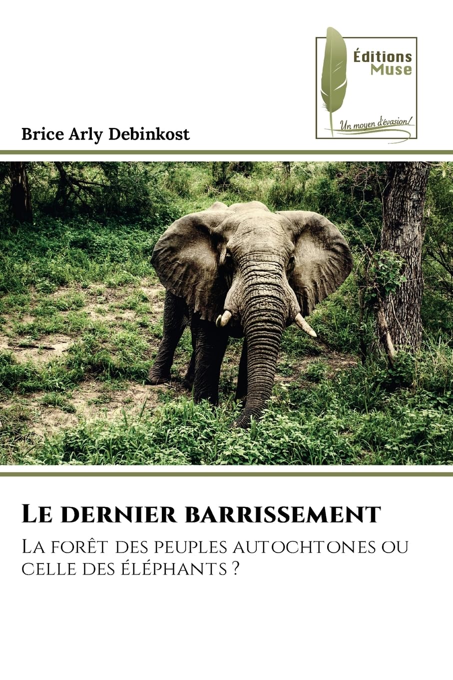 Le dernier barrissement: La forêt des peuples autochtones ou celle des éléphants ?