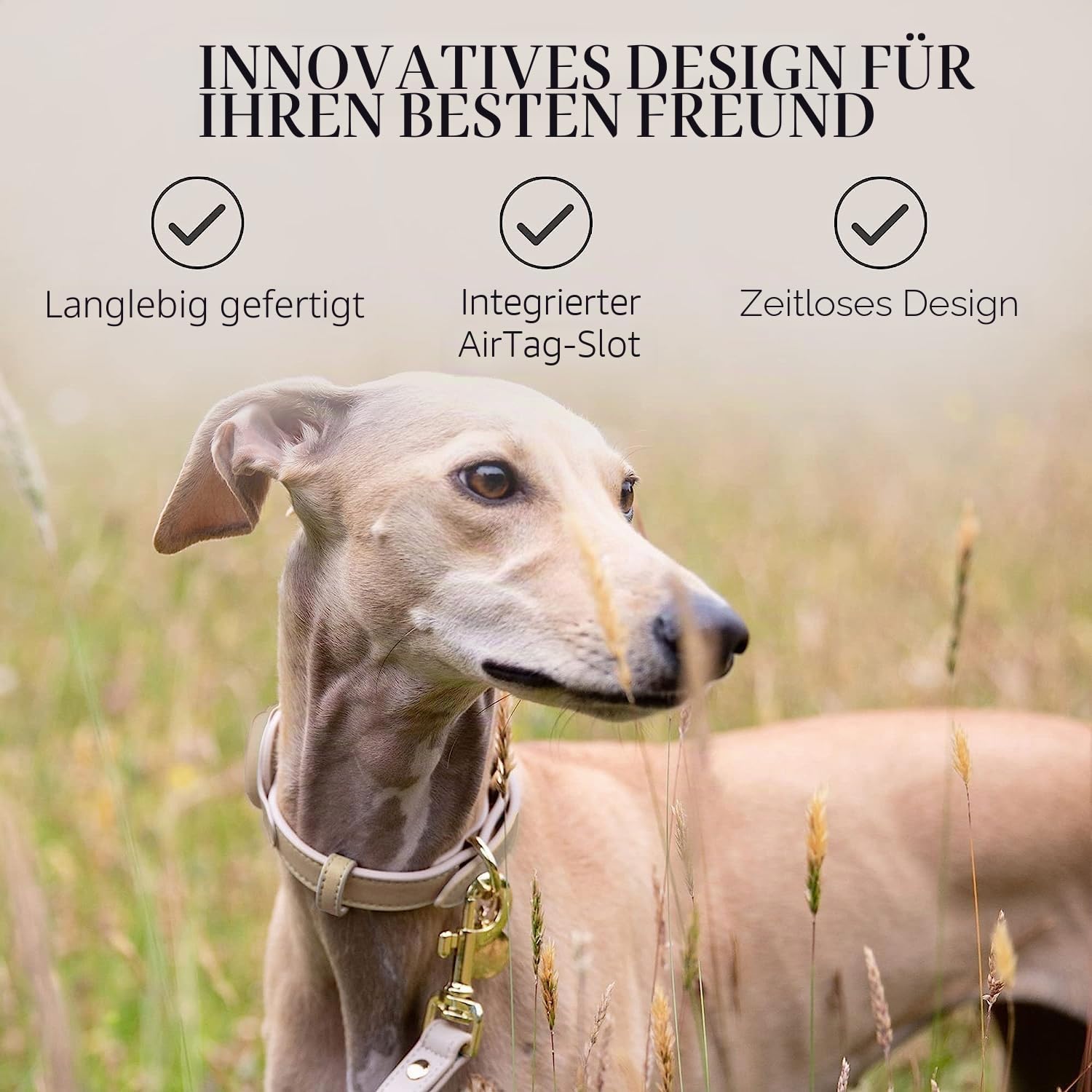 Nina Woof Cupertino Hundehalsband aus veganem Leder, gepolstert und verstellbar mit Tracker-Halterung, Beige, Größe M (Hals 38-48 cm)