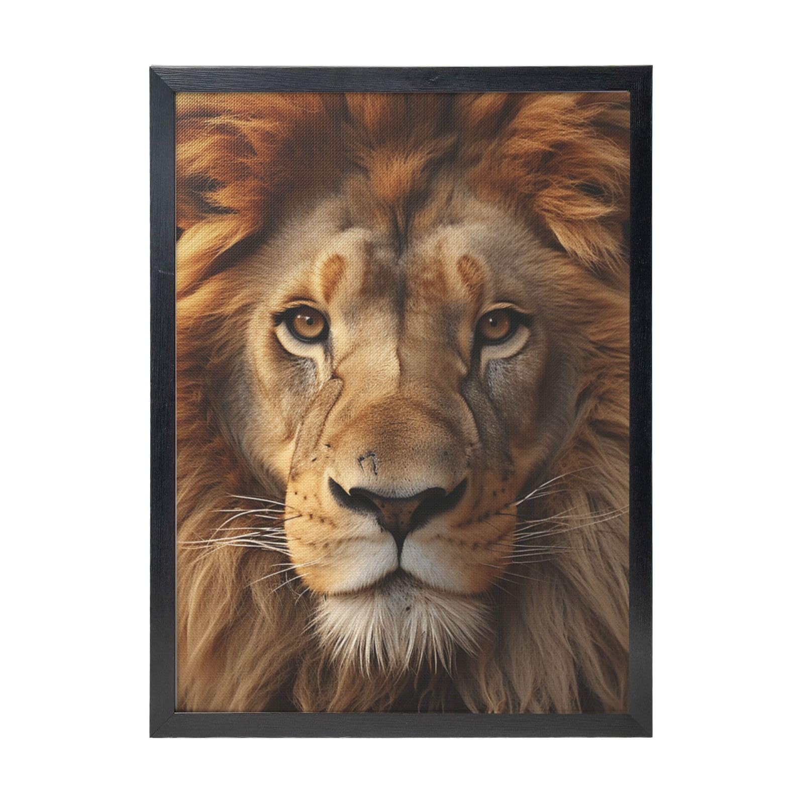 Framed Wall Art - Decorative Canvas Painting African Lion Head Pictures Poster Aesthetic Modern Prints Artwork for Bedroom Office Wall Decor Ready To Hang 12x16 in