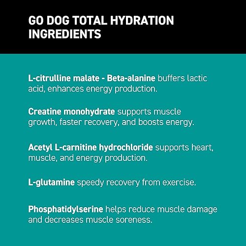 Vista 70 de K9Power Young at Heart - Suplemento para perros mayores para longevidad y vitalidad - Apoya las articulaciones, el cerebro, el corazón