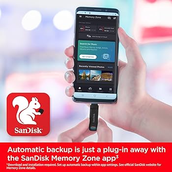 その他  go 64G SanDisk 64GB Ultra Dual Drive Go USB Type-C Flash Drive, 2