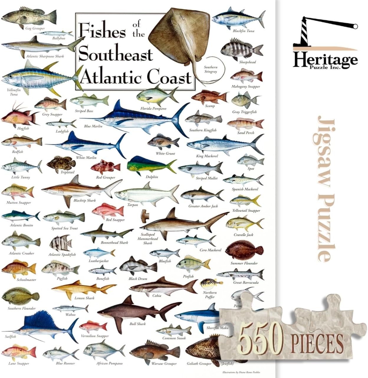 Heritage Puzzle - Fishes of The Southeast Atlantic Coast by Diane Peebles - 550 Piece Puzzles for Adults - Ocean Wildlife Jigsaw Puzzles - Coastal Scene Puzzle - 18" x 24" Finished Size