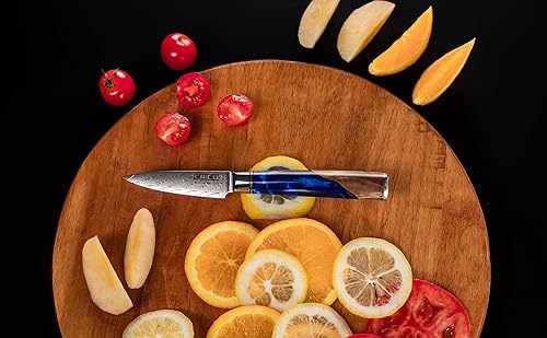 Miniatura 8 de CRICO Cuchillo de pelar de frutas de 35 pulgadas cuchillos de cocina pequeños VG10 Damasco Super Steel de 67 capas mango de madera y resina caja de