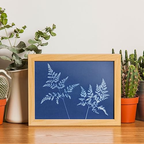 Miniatura 5 de AIQINHU Kit de papel de cianotipo de papel de impresión solar, 32 hojas de papel de arte solar con 1 herramienta de plástico para impresión solar,