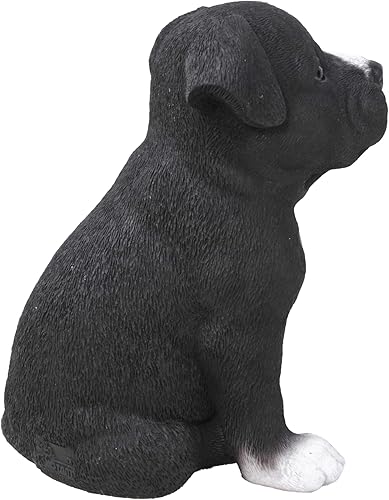 Miniatura 6 de Hi-Line Gift Ltd Estatua de cachorro de pitbull de Staffordshire sentado
