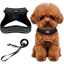 Dog Harness and Leash Set,Step in Small Sized Dog Harness,Soft Mesh,No-Chock,Reflective Adjustable,Secure with Hook & Loop Fastener,Puppy Vest for Small,Medium DogsBlack,XS