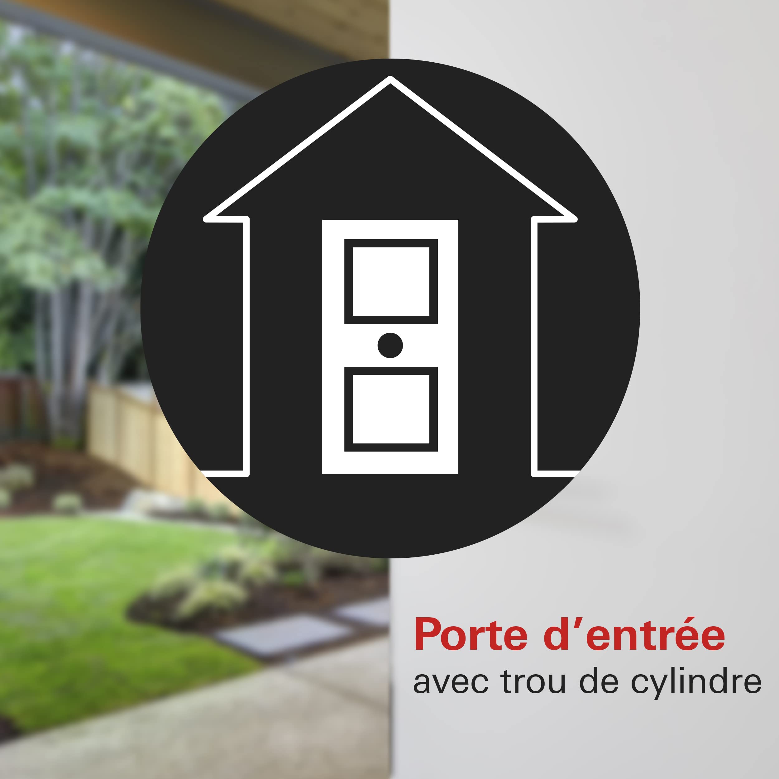 thumbnail: THIRARD Monomax Behuizing NF Hoofdsteun – Gegalvaniseerd, Zwart Epoxy, Insteekslot (cilinder 2-rondig)