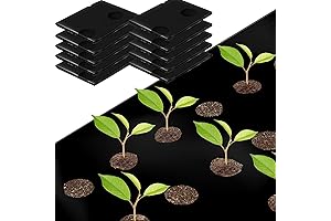 Yinder 10 Pack Black Embossed Plastic Film with Planting Holes