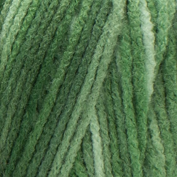 Red Heart E300.0629 Super Saver Economy Yarn، Green Tone