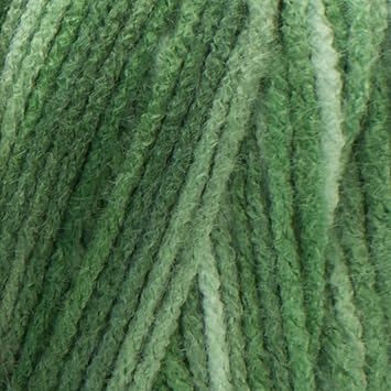 Red Heart E300.0629 Super Saver Economy Yarn، Green Tone