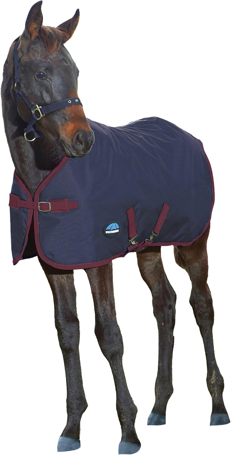 WeatherBeeta 1200D Foal Standard Neck 220g, Navy/Burgundy, 45"
