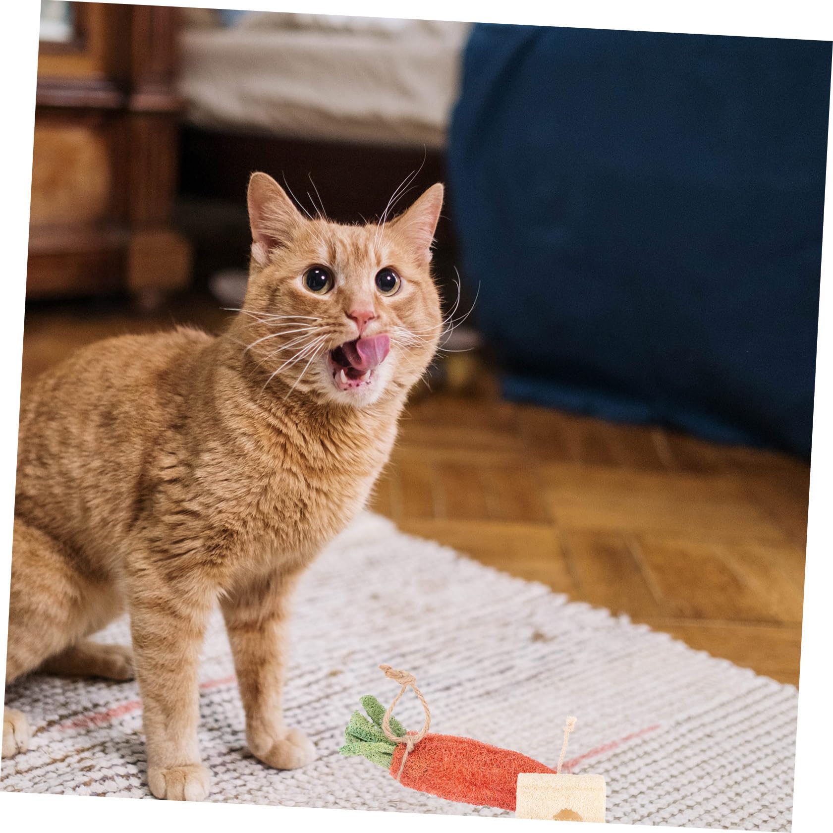 BESPORTBLE 8pièces Jouets à Mâcher pour Hamsters Décoration pour Cage De Hamster Accessoires pour Lapins Jouets pour Petits Animaux