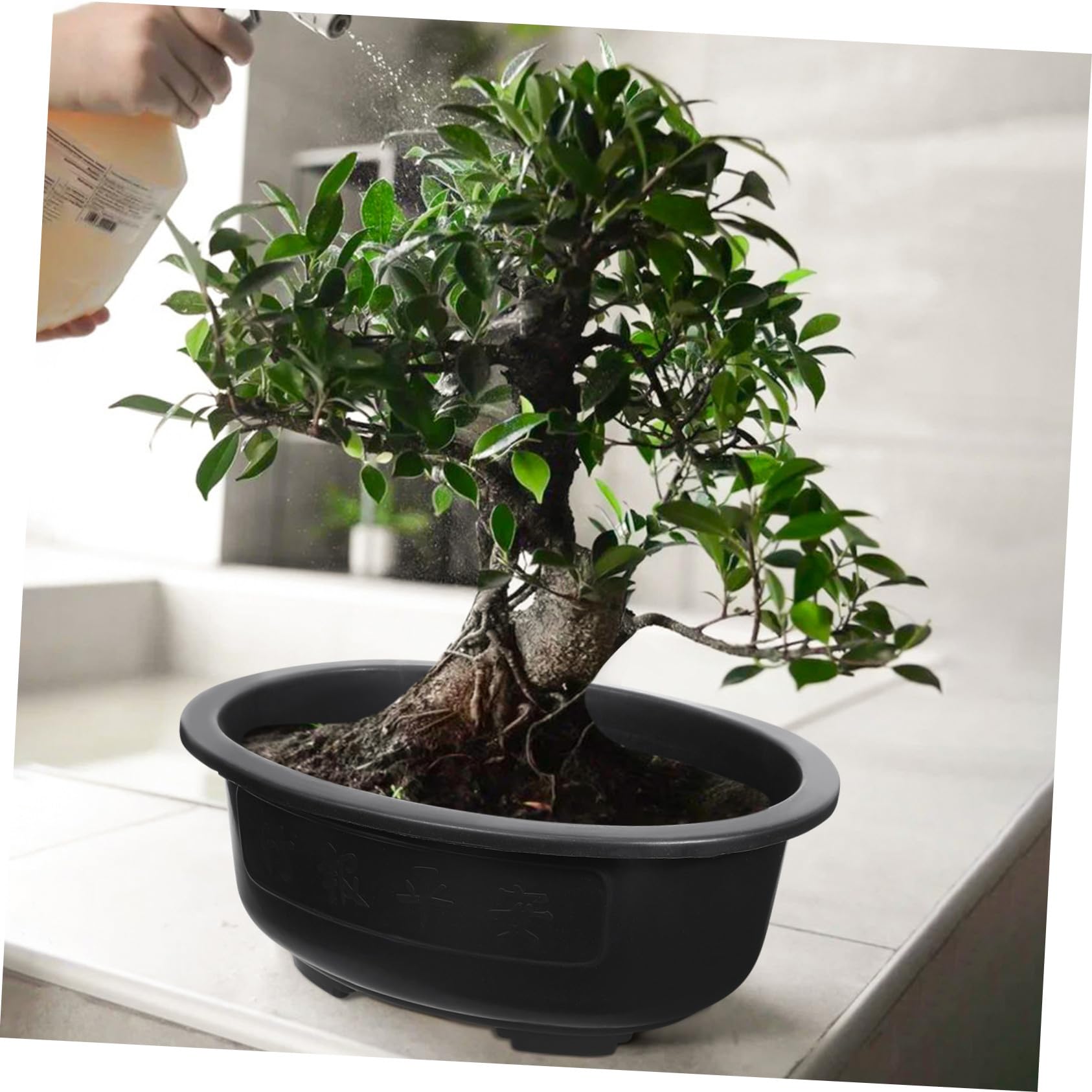 2 Pezzi Vasi Bonsai Ovali in Plastica Rigida Fioriere Per Giardinaggio Interno Esterno Con Fori Di Drenaggio Per Piante E Fiori Da Balcone Ufficio E Giardino