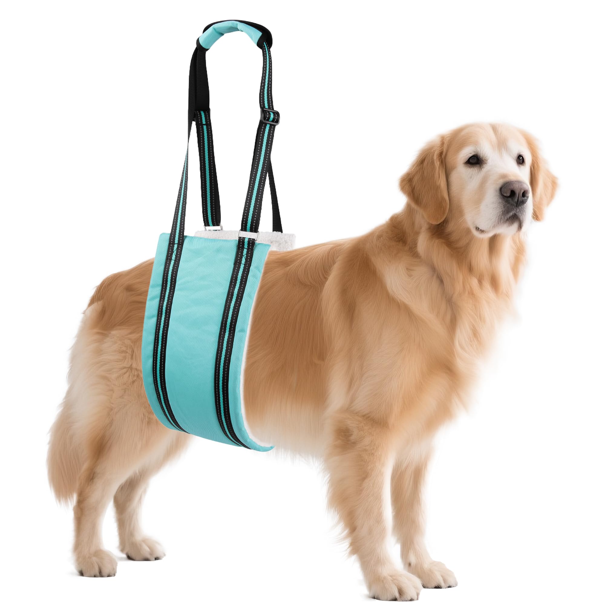 AIITLE Dog Sling for Large Dogs Hind Leg Support - Adjustable Reflective Design with Plush Padding, Ideal for Senior/Arthritic Dogs & Post-Surgery Recovery (Turquoise, L)