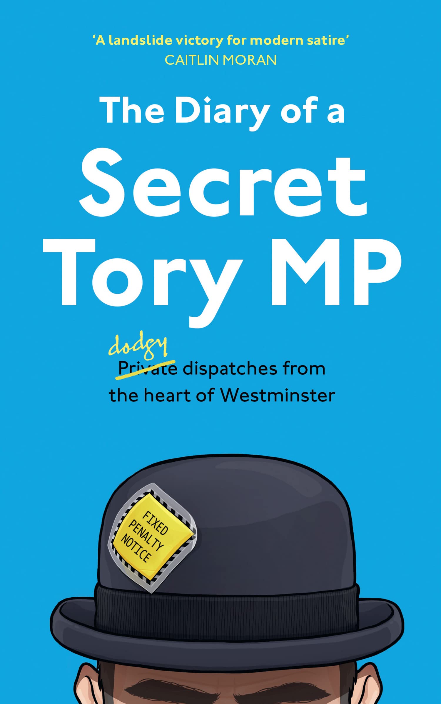 Mudlark Diary of a Secret Tory MP
