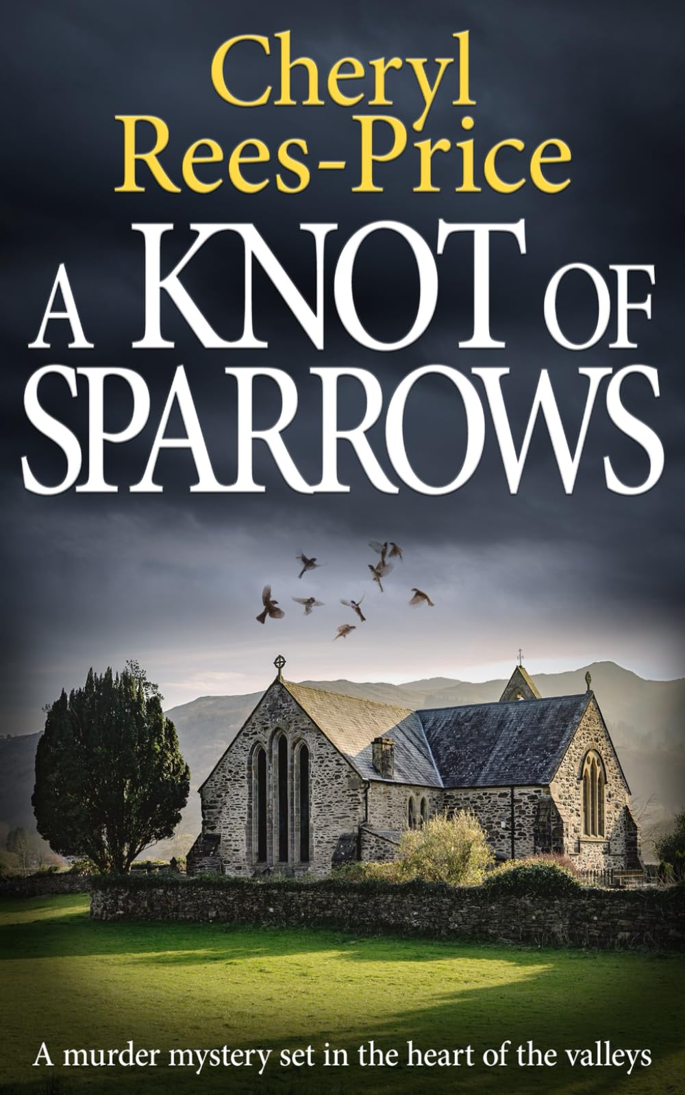 A Knot of Sparrows: a murder mystery set in the heart of the valleys: 4 (DI Winter Meadows)