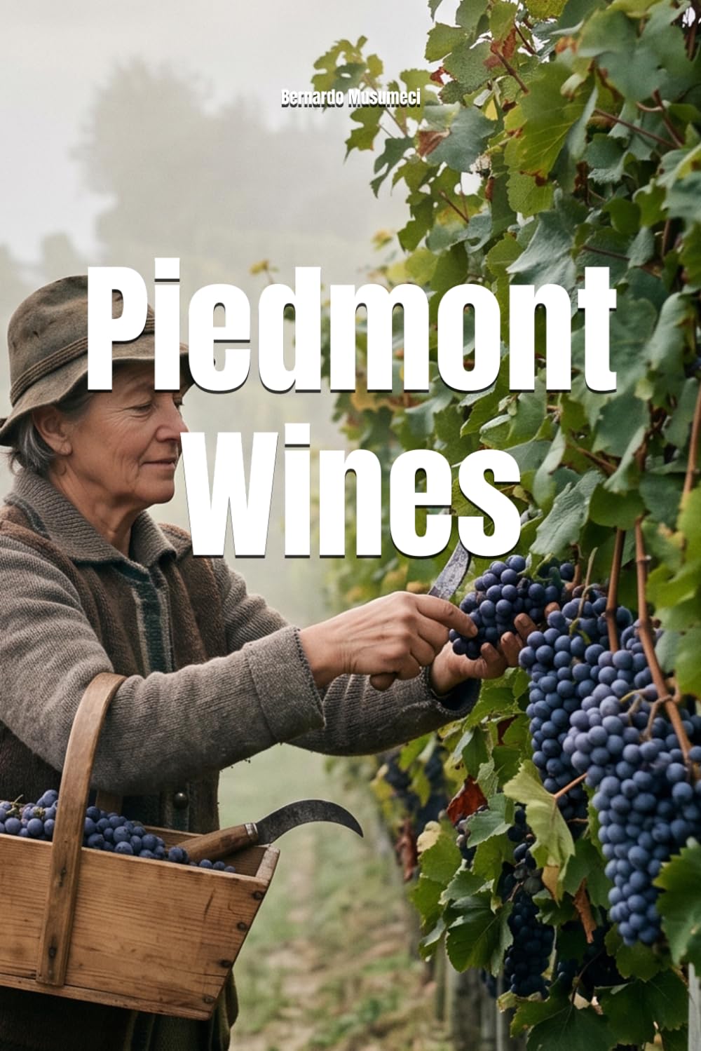 Piedmont Wines (Wines of the World: Italy)