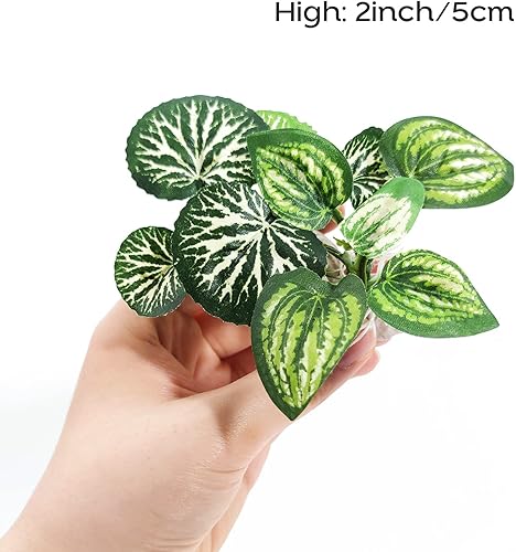 Miniatura 4 de Decoraciones de acuario de peces con ventana de visualización para decoración de peceras Betta