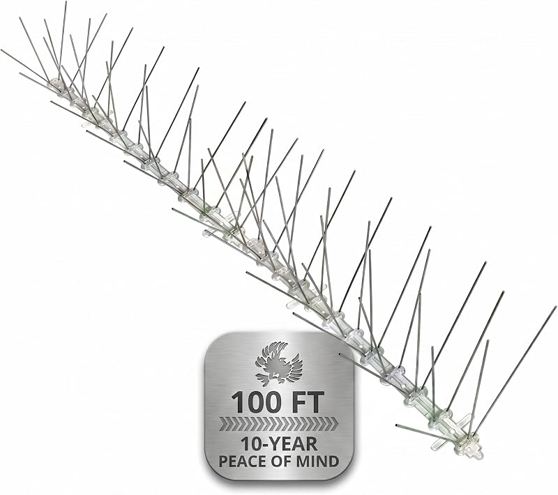 Bird-X Pinchos para pájaros de acero inoxidable de 8 pulgadas extra anchos, tiras de 2 pies, 100 pies | Acero Inoxidable, Policarbonato Flexible, Palomas y Gorriones, Áreas Exteriores