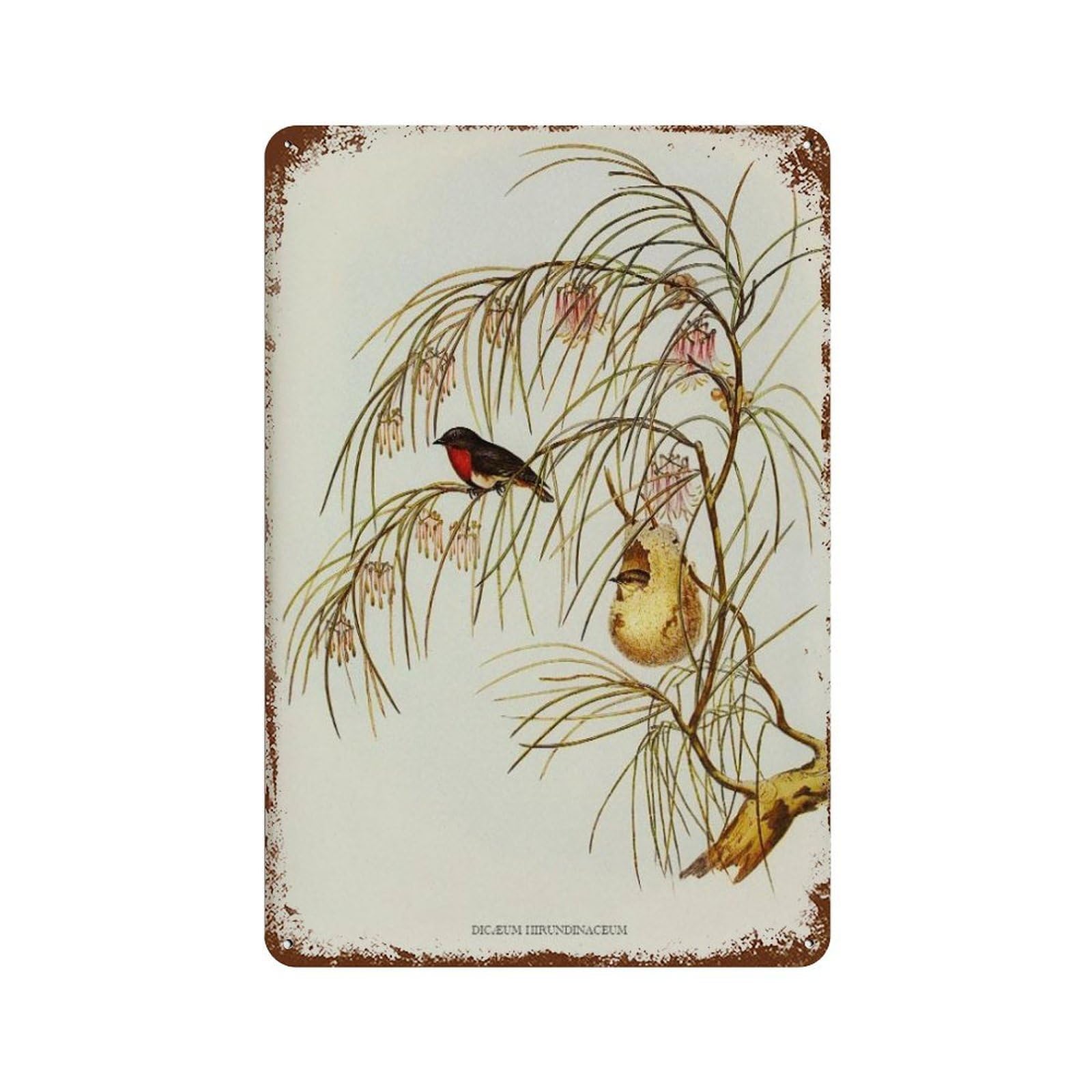 xiaoxiaoshen Vintage Song Bird Illustration Farmhouse Decor Wall Decor Art Metal Tin Poster Modern Home Decor Art Home Bar Shop Decorations Vintage Sign 30x20cm