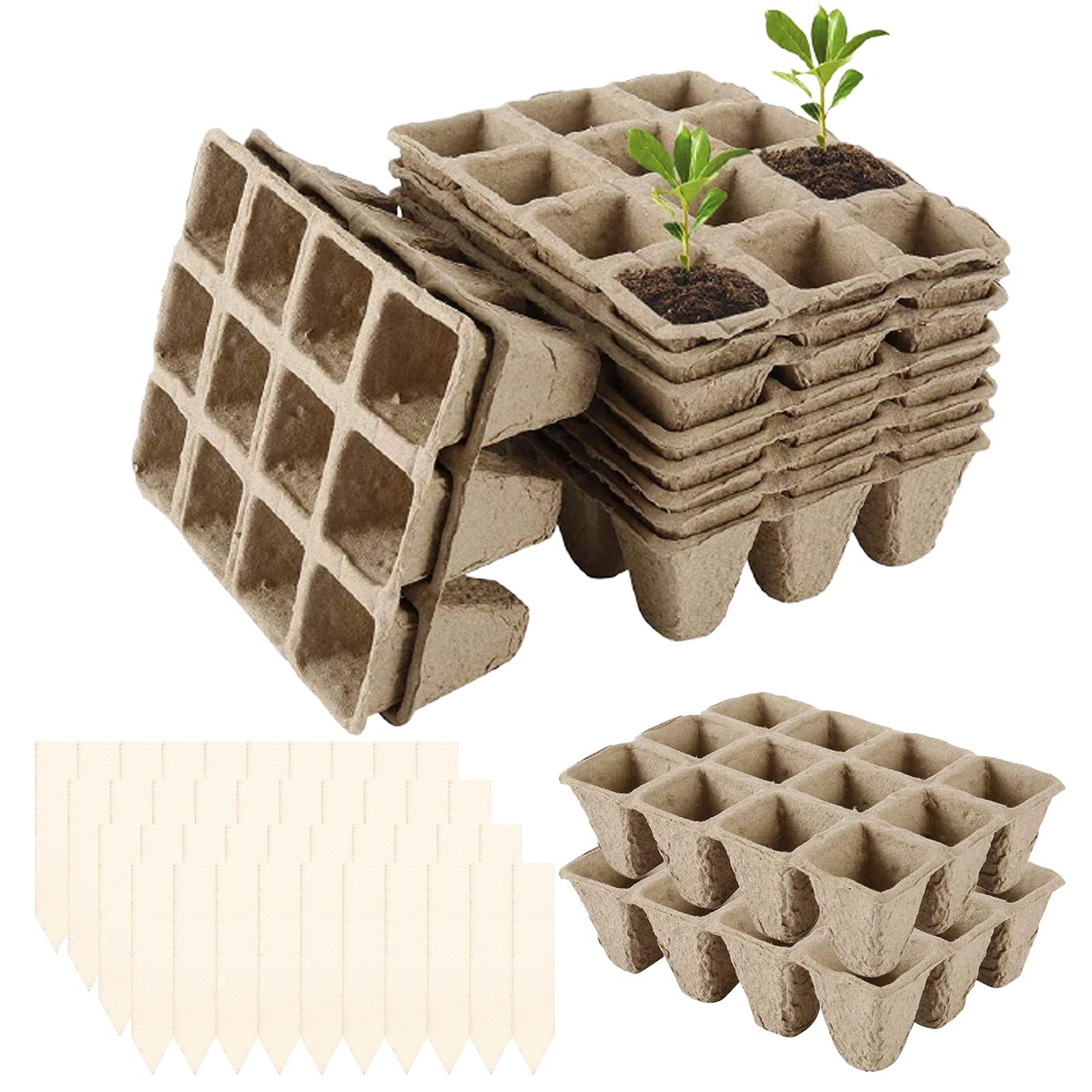 Buy 12 Pack Seed Trays for Seedlings, 144 Cells Biodegradable Organic