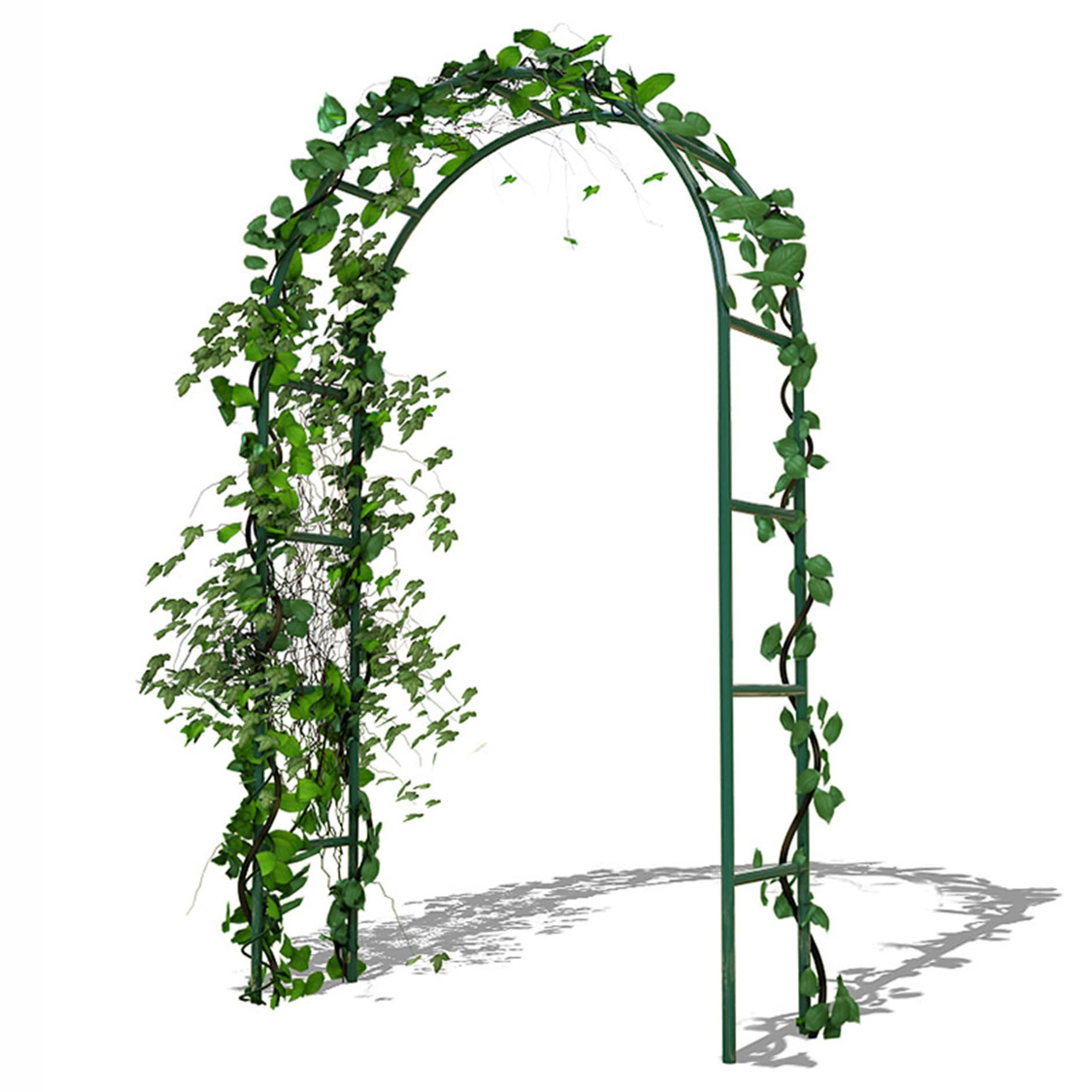 Arche de jardin en métal treillis pergola décoration extérieure fleurs plantes vertes