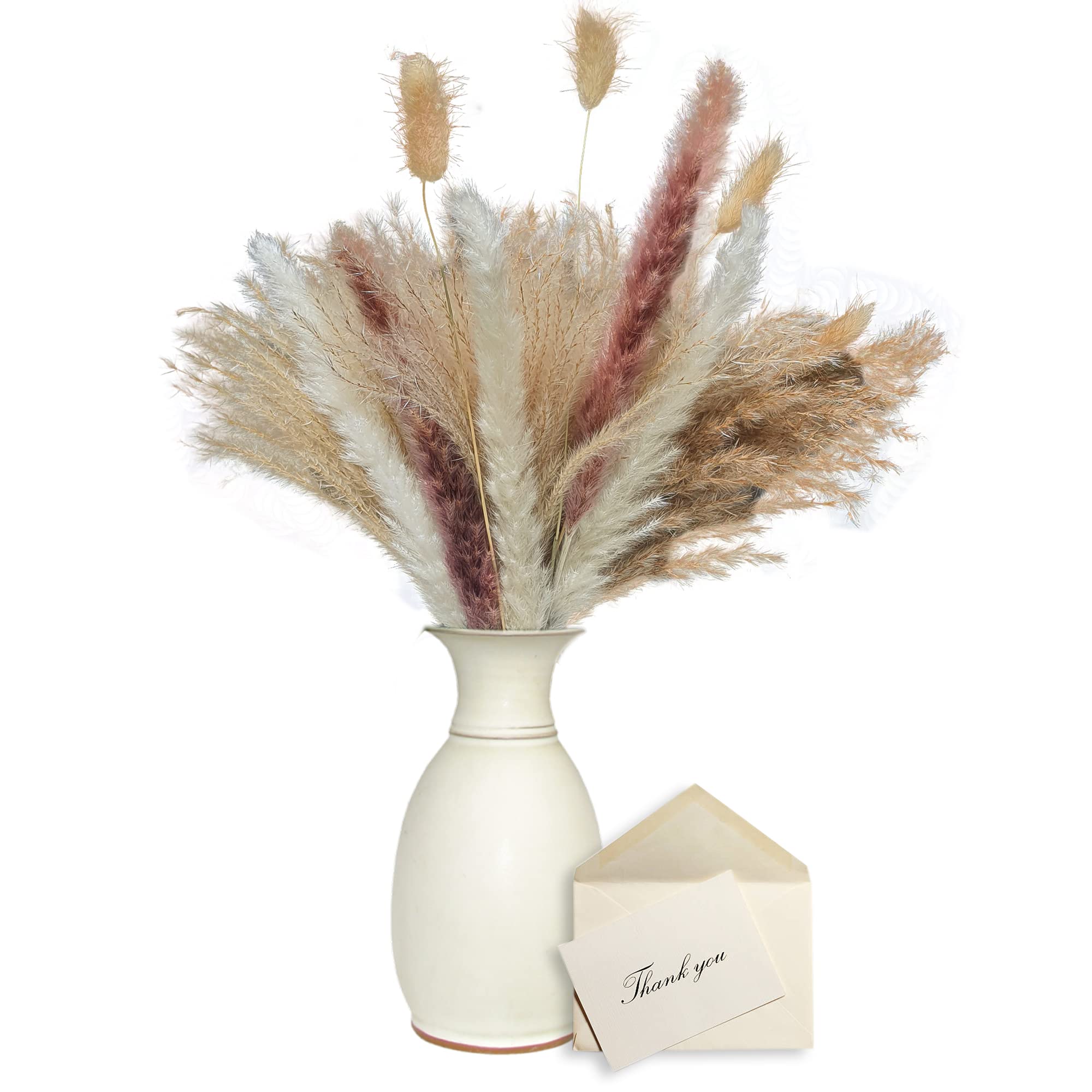 Buy Pampas Grass Set, Optimal and Uniquely Matched Pampas Naturally
