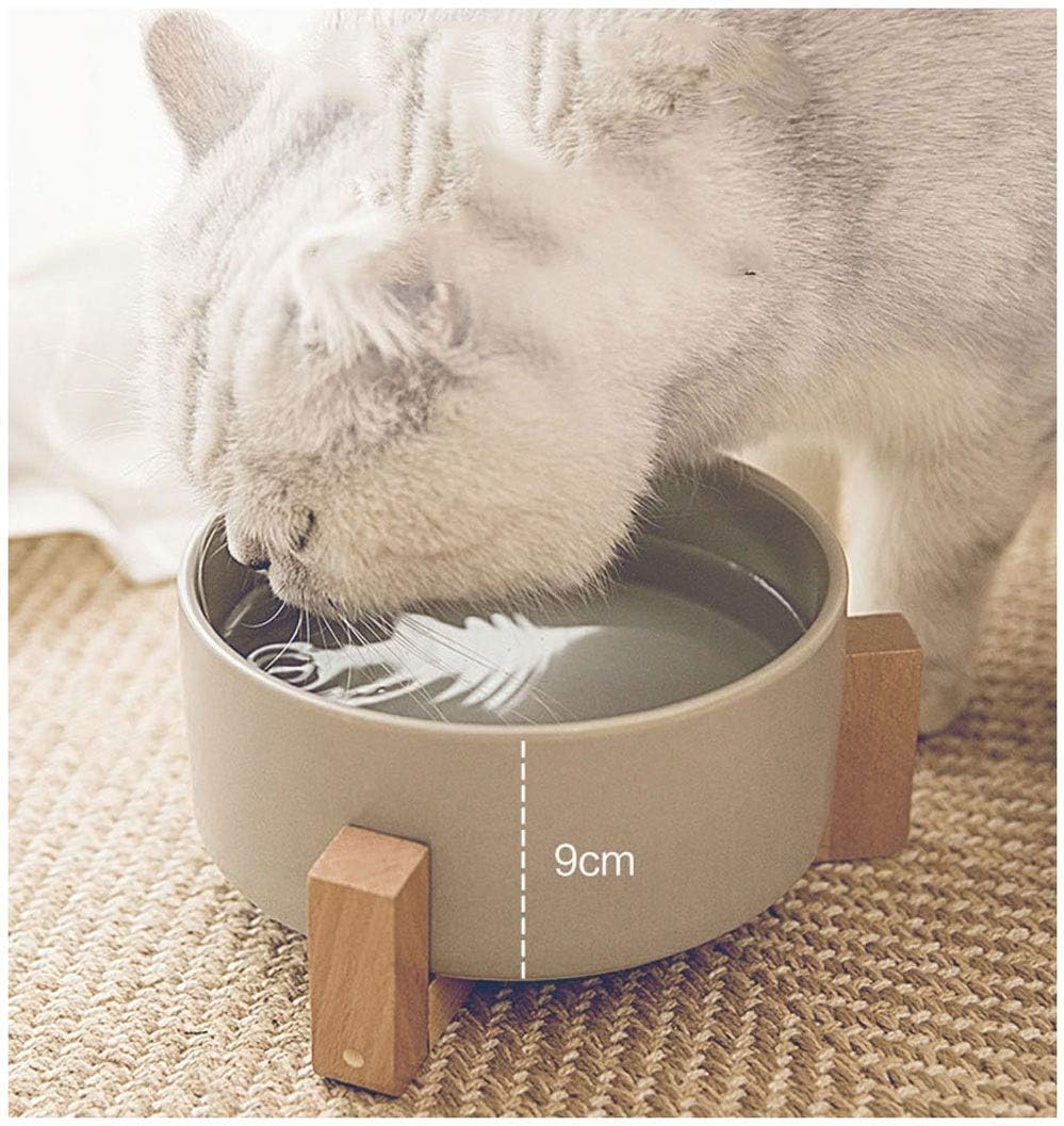 Portable Pet Bowls Ceramic Cat Portable Dog Bowls for Food and Water, Enhanced Food Bowl Portable Mat Suitable for Small and Medium Dogs Cat 850ml