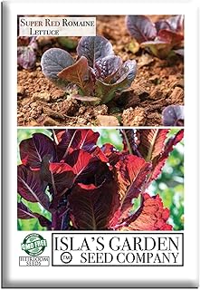 Super Red Romaine Lettuce Seeds (Lactuca sativa) – 1,000+ Non-GMO Heirloom Seeds by Isla’s Garden Seeds, Vibrant Red Leaves, Crisp & Flavorful, Fast-Growing & Nutrient-Rich, Perfect for Salads or Gift