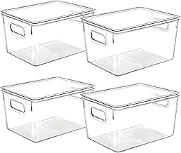 Snazzy Polyethylene Terephthalate Clear Storage bins With Lids Set Of 4, 27.9X20.3X15.2 Cm