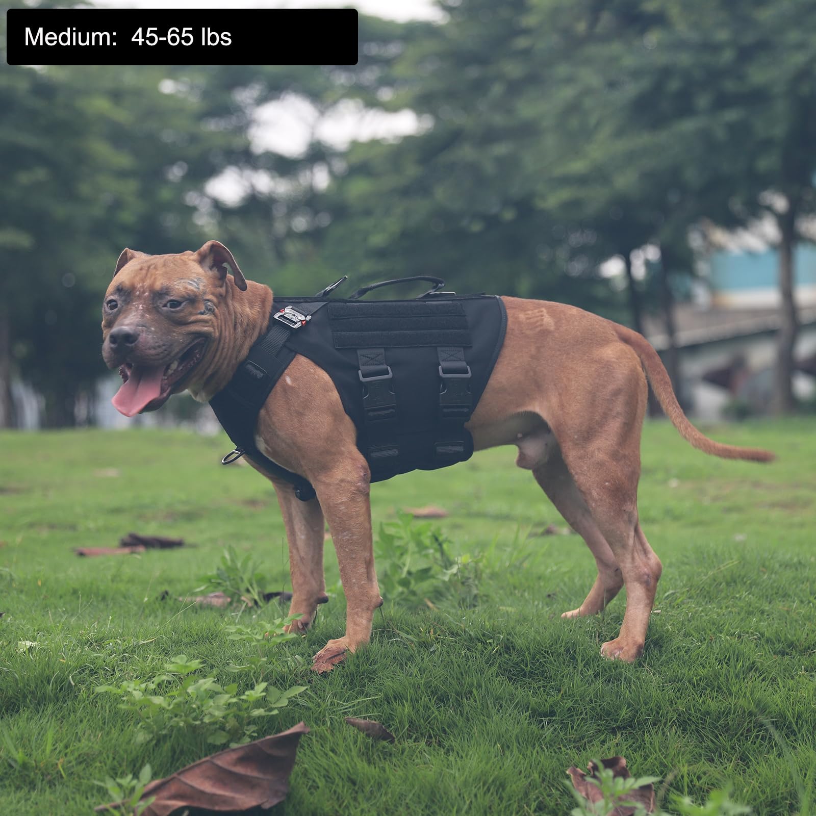 Arnés táctico ICEFANG K9, chaleco Molle para perro de trabajo, cobertura de cuerpo 3/4, panel de gancho y bucle para identificación militar, mango reforzado, sin tirar de clip frontal