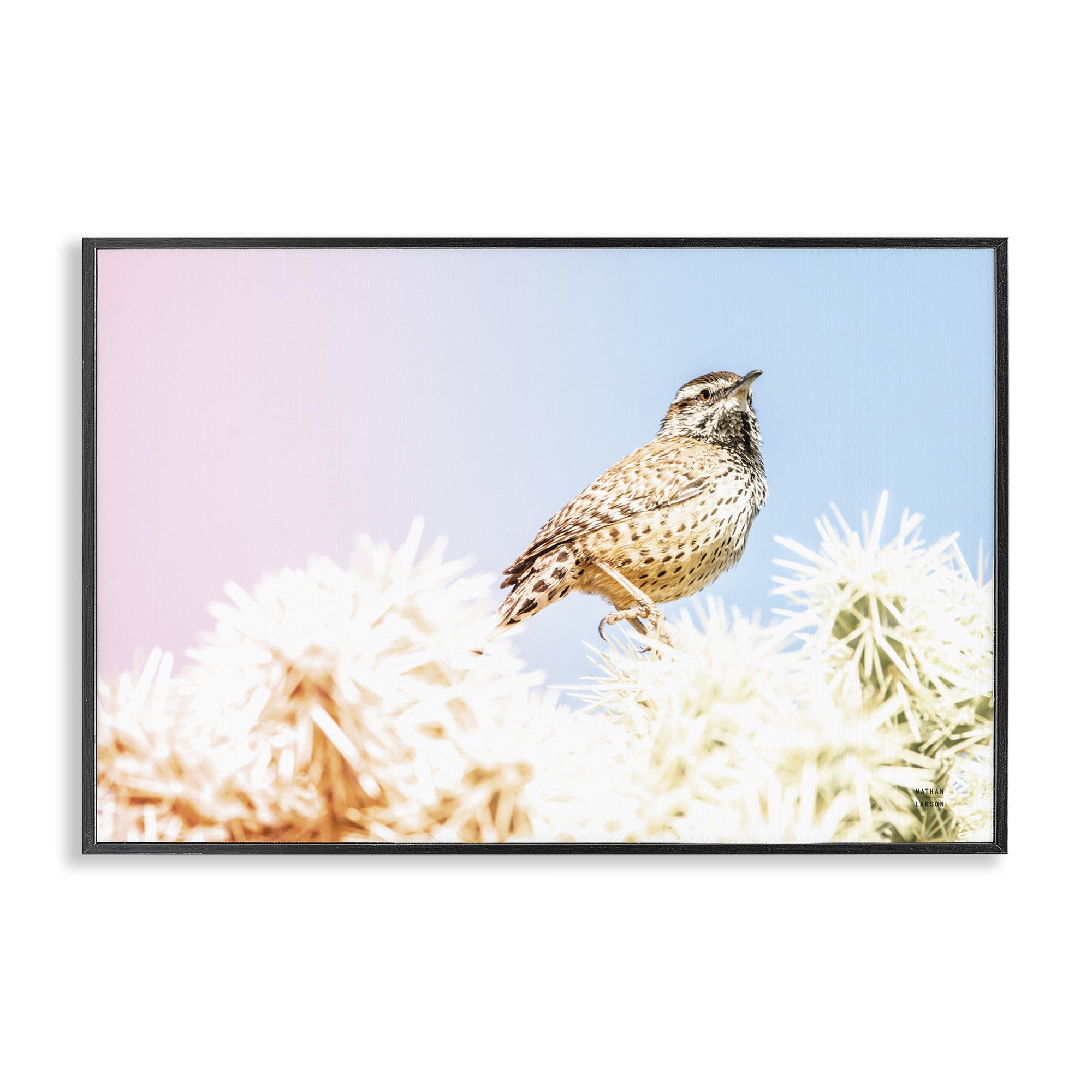 Stupell Industries 'Desert Song Bird', Framed Giclee Art, Black, 24 x 16